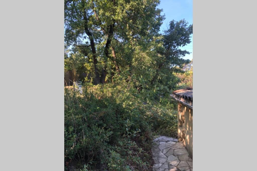 L'Escapade. Entre Aix Et Marseille, Studio Pleine Nature. Фюво Экстерьер фото